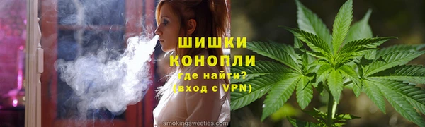 хмурый Няндома