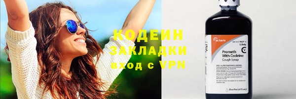 хмурый Няндома