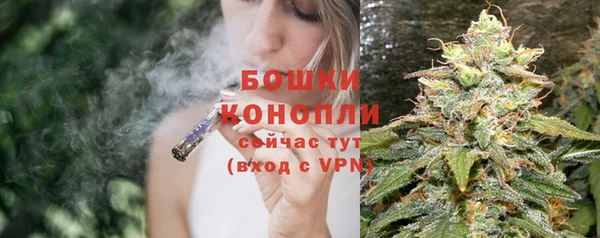 хмурый Няндома